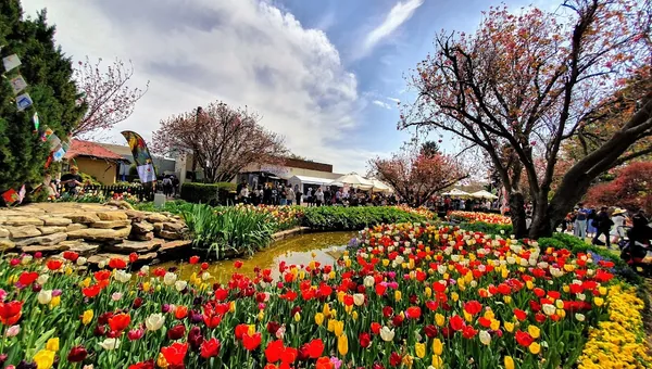 Bowral, NSW 2576 property investment analysis