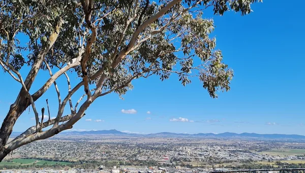 Tamworth, NSW 2340 property investment analysis
